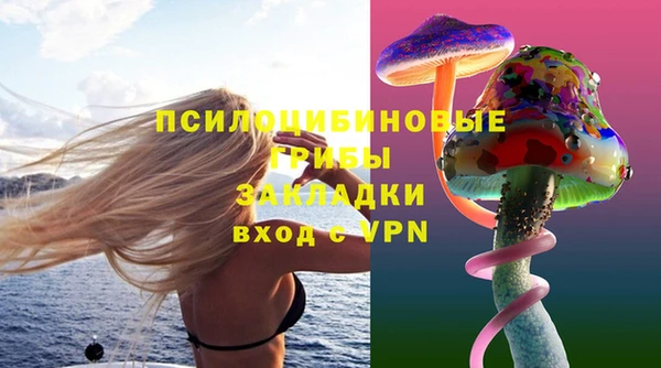 mdpv Богданович