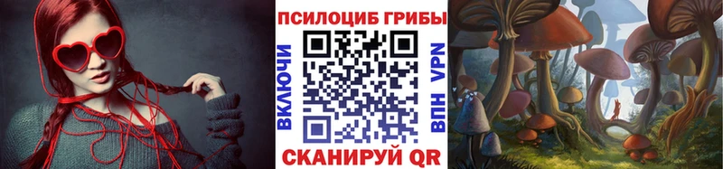 Псилоцибиновые грибы Psilocybe дарнет шоп Клин